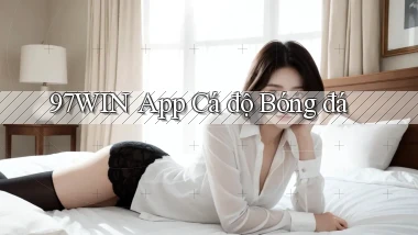 97win app cá độ bóng đá