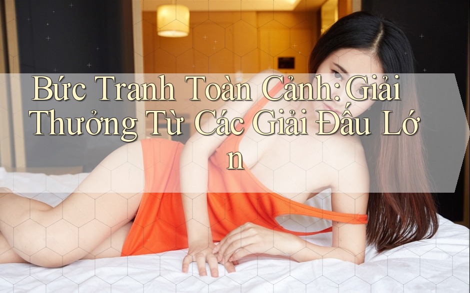 Bức Tranh Toàn Cảnh: Giải Thưởng Từ Các Giải Đấu Lớn