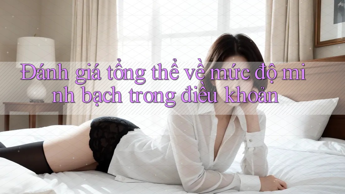 Đánh giá tổng thể về mức độ minh bạch trong điều khoản