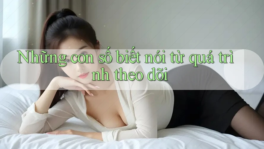 Những con số biết nói từ quá trình theo dõi