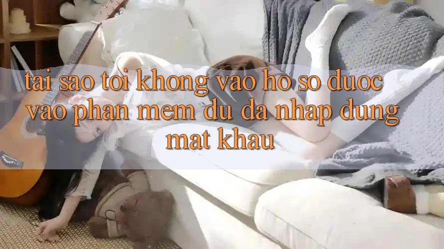 Tại sao tôi không vào hồ sơ được vào phần mềm dù đã nhập đúng mật khẩu?