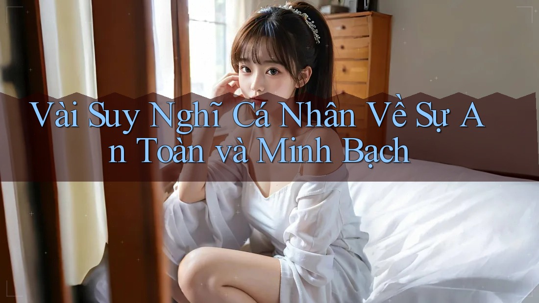 Vài Suy Nghĩ Cá Nhân Về Sự An Toàn và Minh Bạch